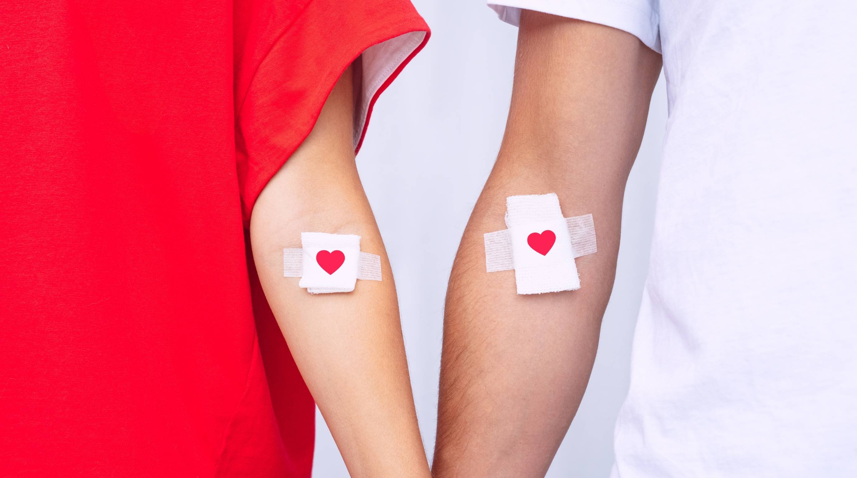 Can You Donate Blood if You Have an STD