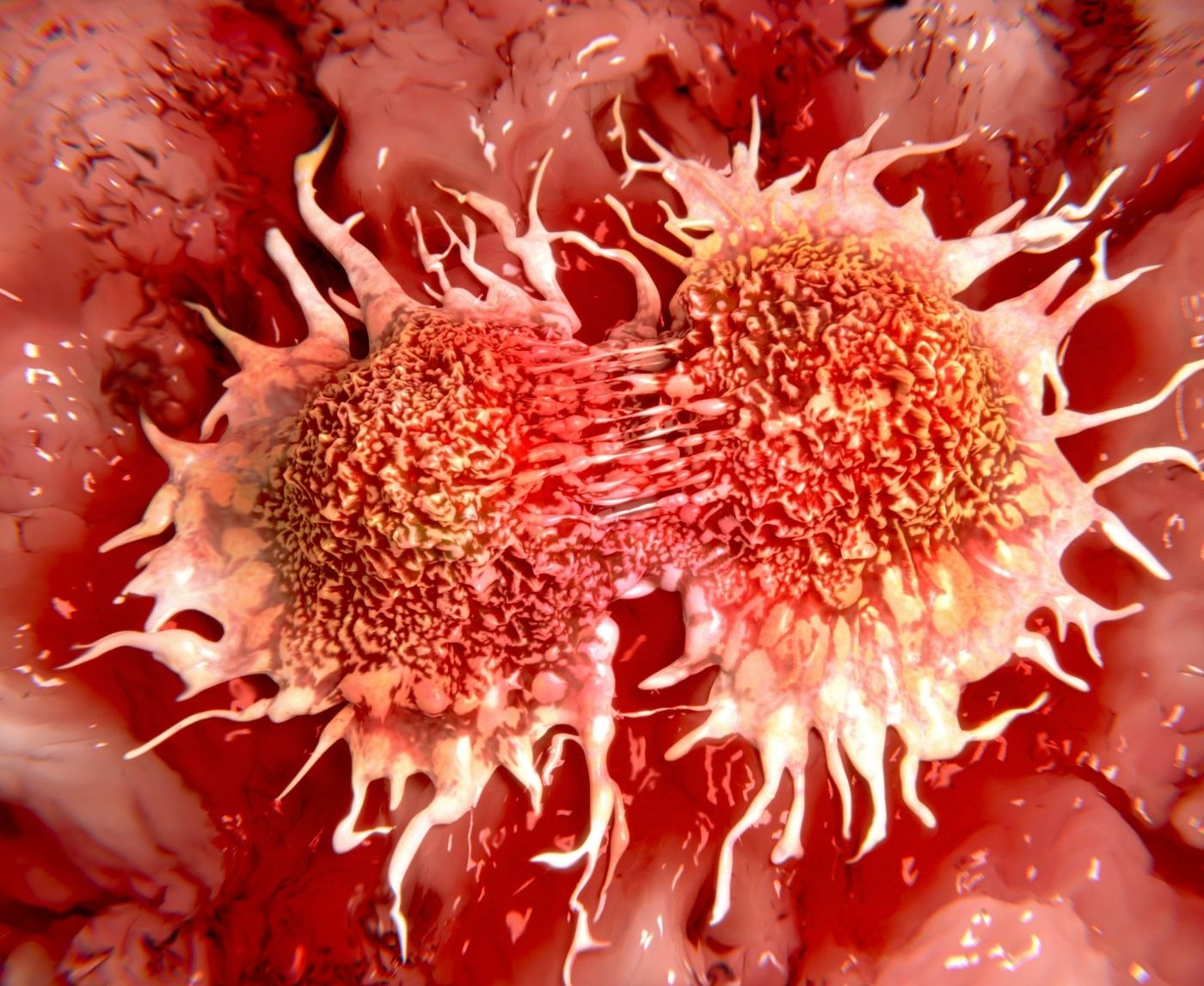 Which STDs Can Actually Lead to Cancer?