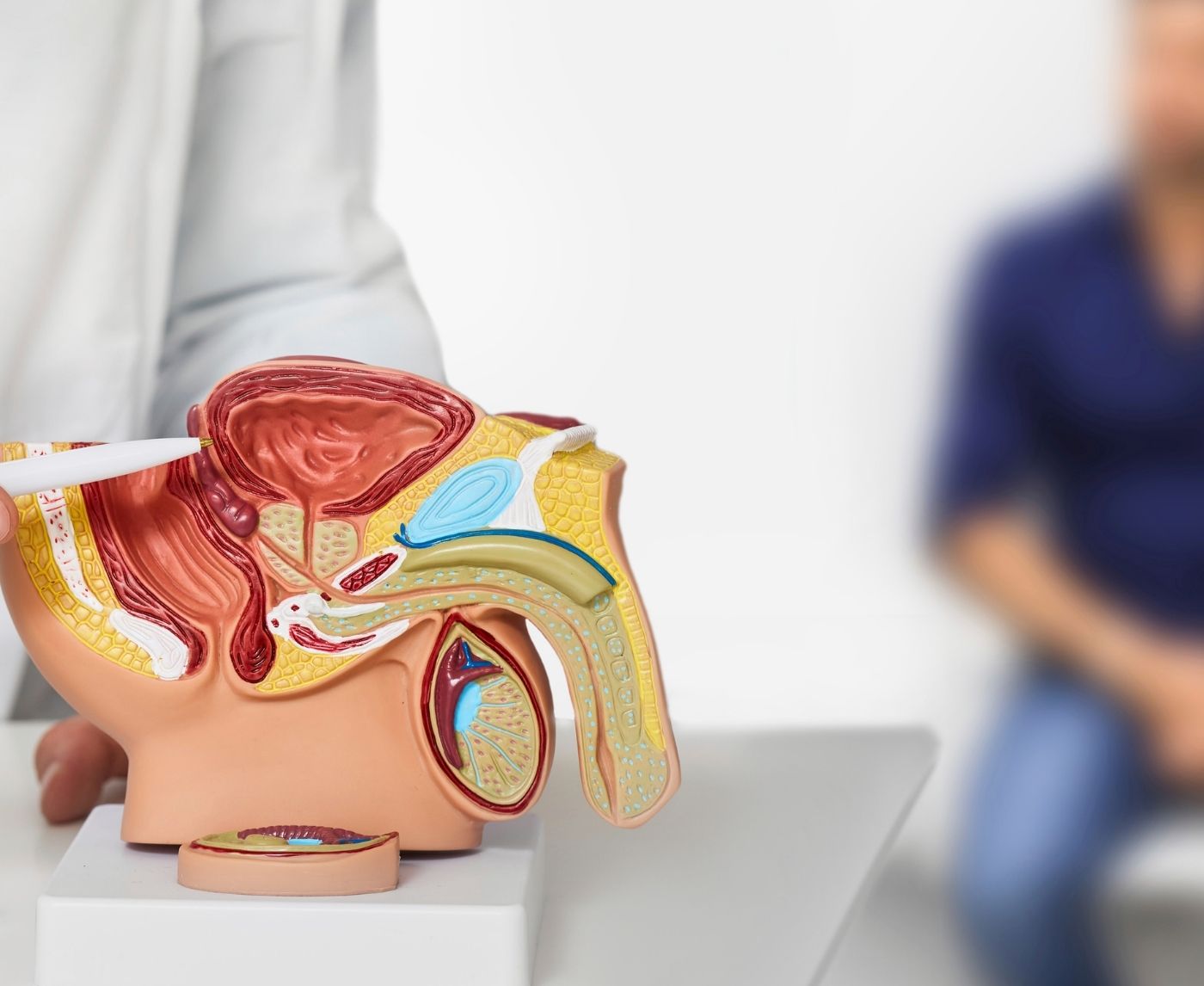 Trichomoniasis vs Prostatitis: What’s Really Causing Your Symptoms?