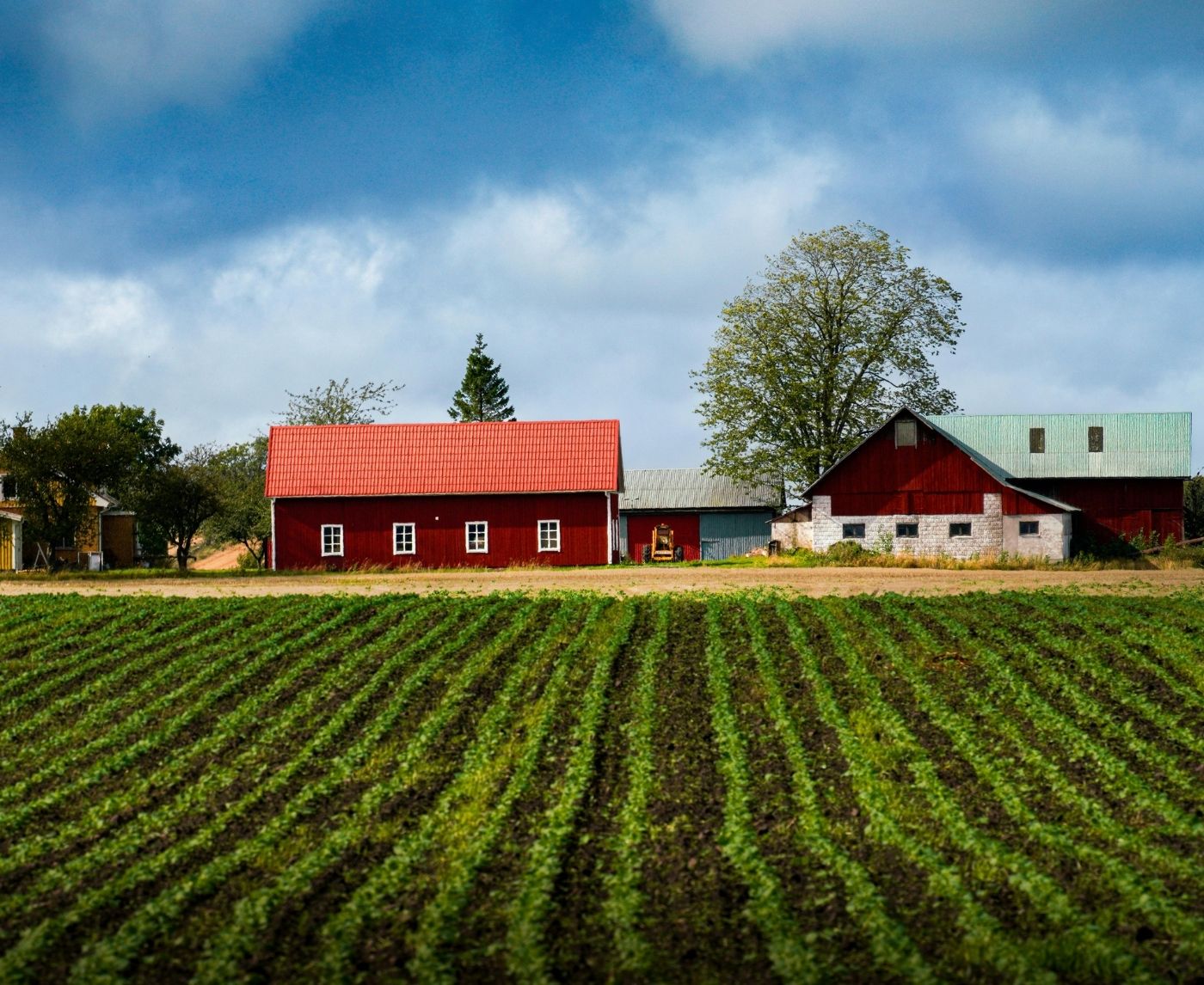 No Clinic, No Car, No Test: What Access Really Looks Like