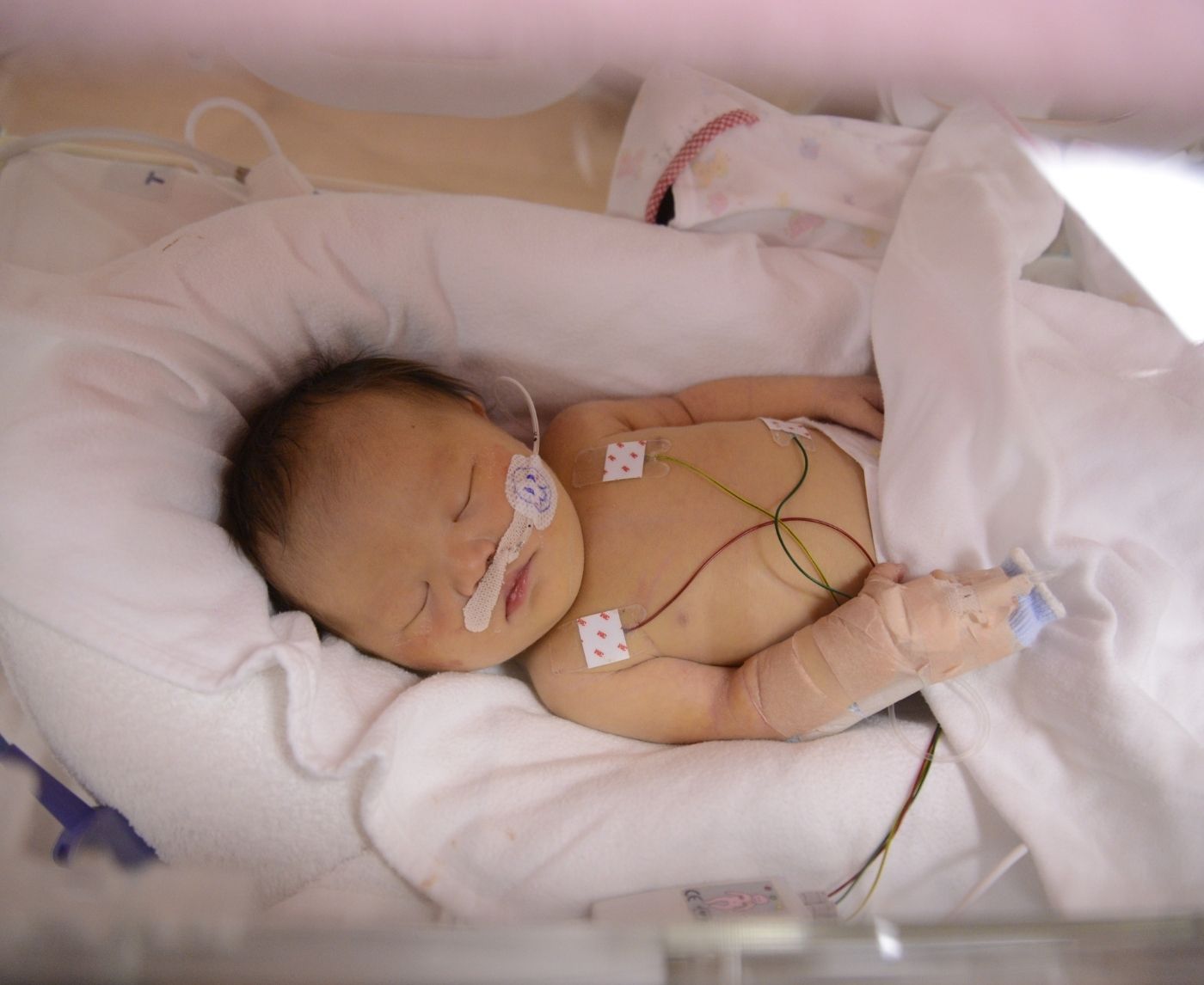 STI Rates Drop in 2024, But Newborn Syphilis Surges: What This Means for Home Testing