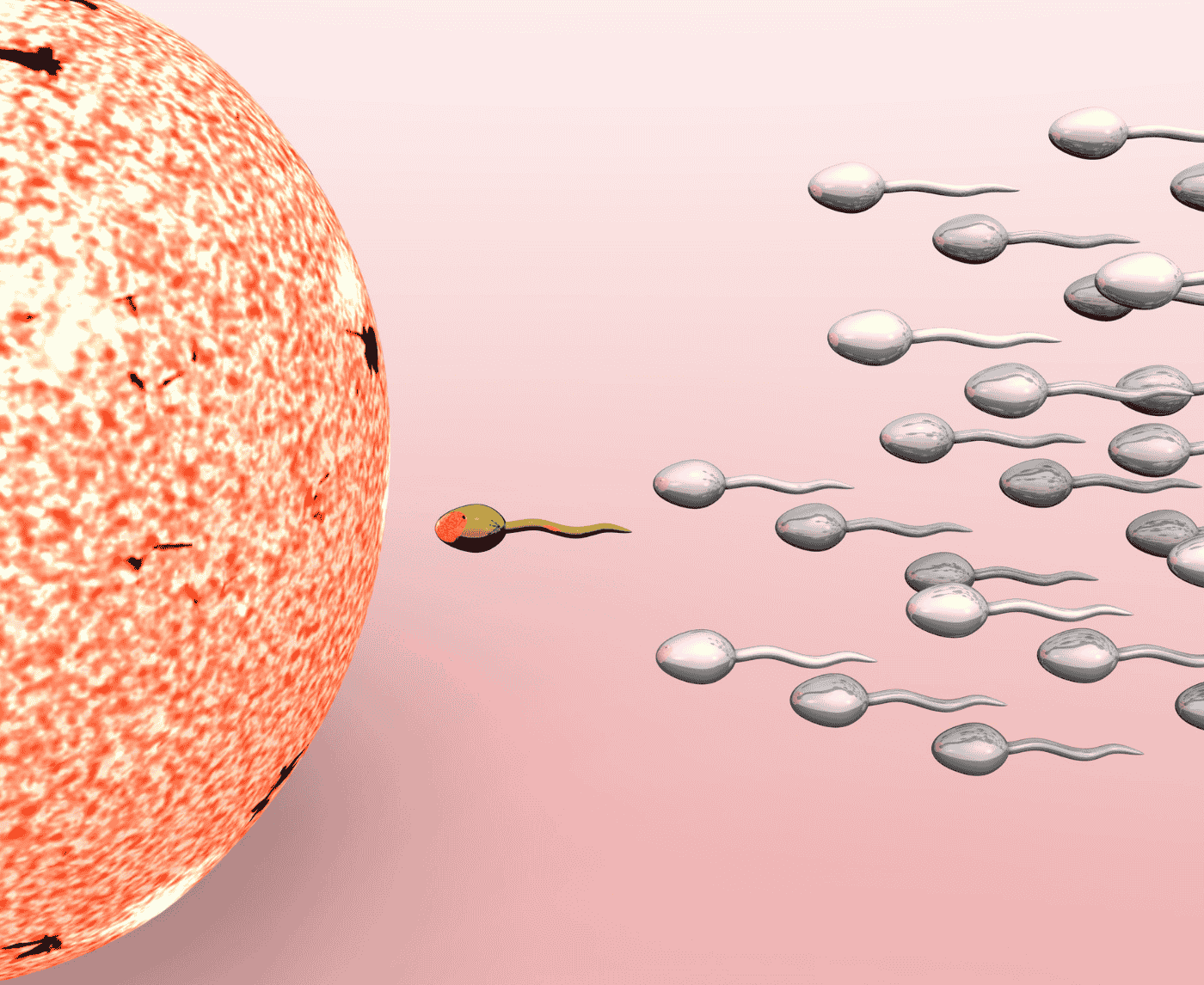 How Long Before Chlamydia Affects Fertility? A Breakdown by Stage